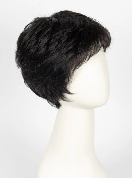Synthetic Wig (Basic Cap) 16485